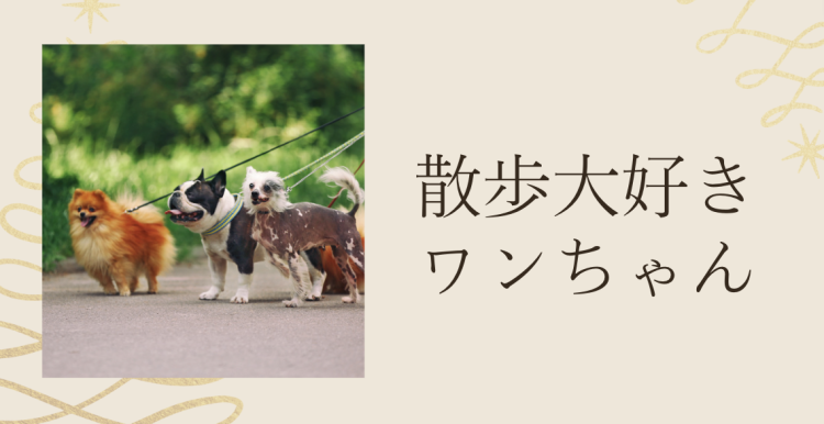 ていねいなくらし